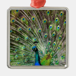 Atemberaubende Pfau- und Federn Zubehör für Fotos Ornament Aus Metall