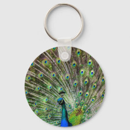 Atemberaubende Pfau- und Federn Zubehör für Fotos Schlüsselanhänger