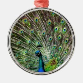 Atemberaubende Pfau- und Federn Zubehör für Fotos Silbernes Ornament