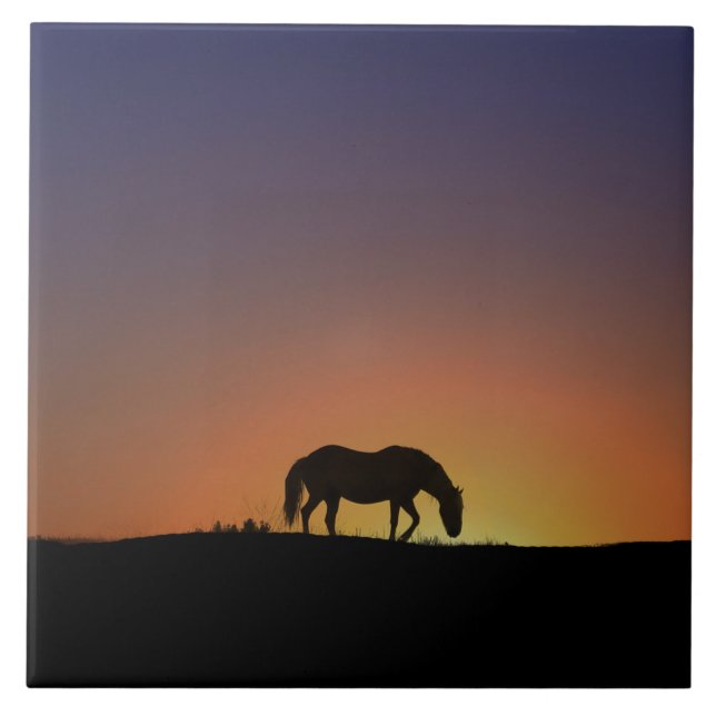 Atemberaubende Pferdekunst Fliese (Vorderseite)