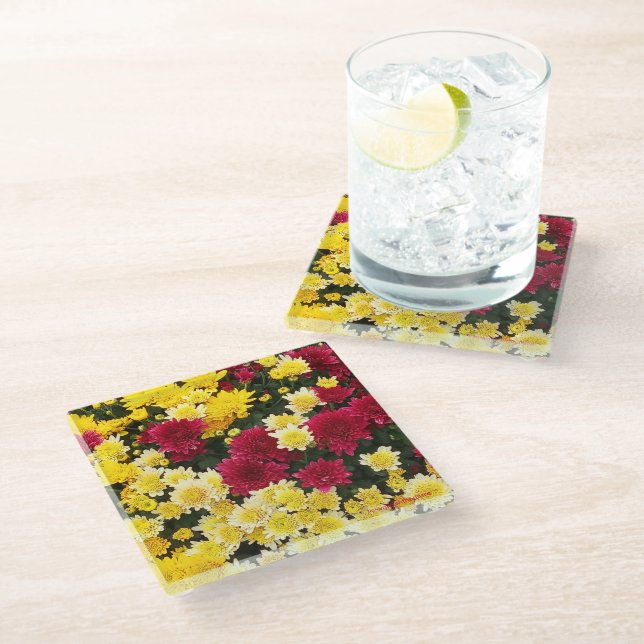 Atemberaubende Red Gold Herbst Chrysanthema Blume Glasuntersetzer (Schrägansicht)