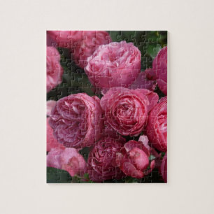 Atemberaubende rosa Rosen Puzzle