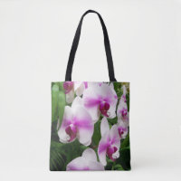 Atemberaubende Rosa und weiße Orchideen