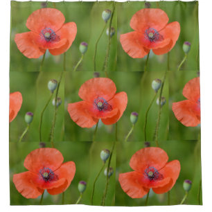 Atemberaubende rote Mohnblume Duschvorhang