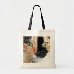 Atemberaubende Schildpatt-Katze mit klaren grünen Tragetasche