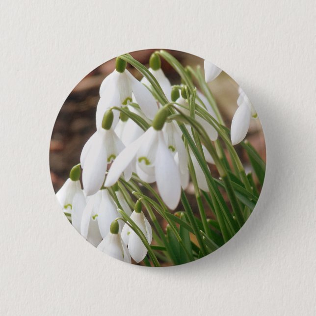 Atemberaubende Schneeverfahren Button (Vorderseite)