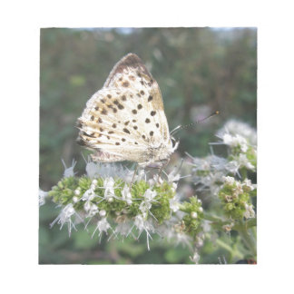 Atemberaubende Schokolade Notizblock