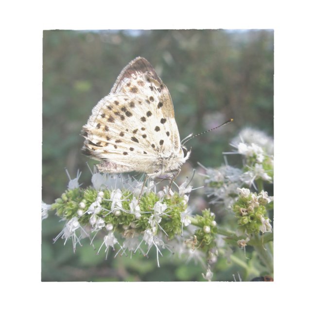 Atemberaubende Schokolade Notizblock (Vorderseite)