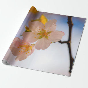 Atemberaubende Schönheit der Sakura-Blume Geschenkpapier