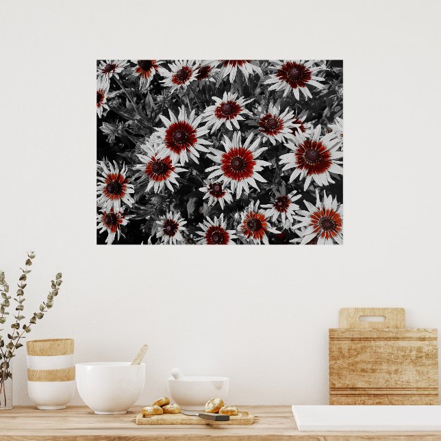 Atemberaubende Schwarz-Mit Augen Susans Poster (Küche)