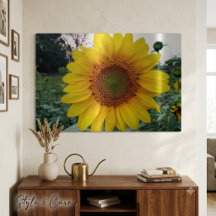 Atemberaubende Sonnenblumenmauerdekor 36x24 Größe