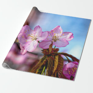 Atemberaubende und Phantastische Sakura-Blume Geschenkpapier