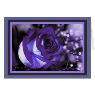 atemberaubende violette Rose! Leere Karte