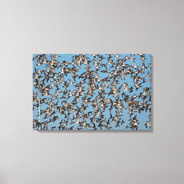 Atemberaubende Winterenten im Flug Leinwanddruck (Vorderseite)