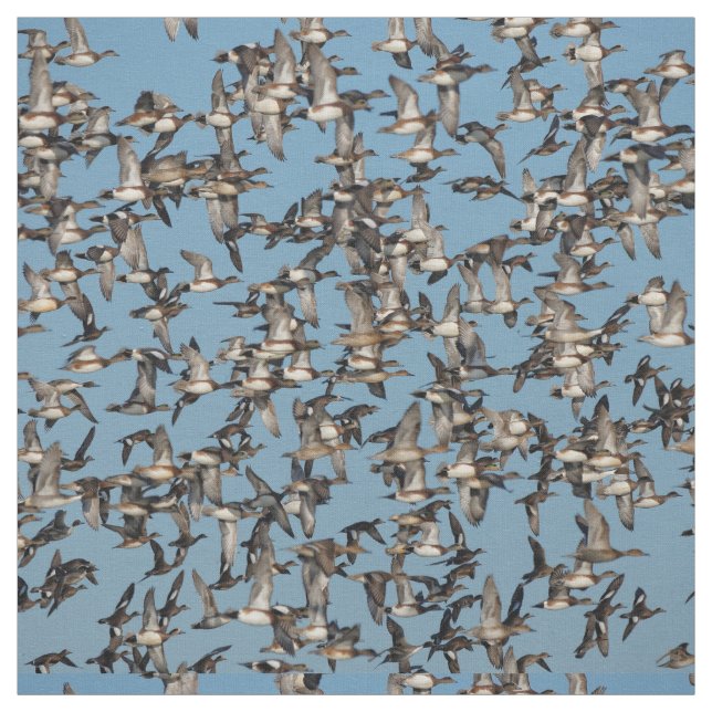 Atemberaubende Winterenten im Flug Stoff (Muster)