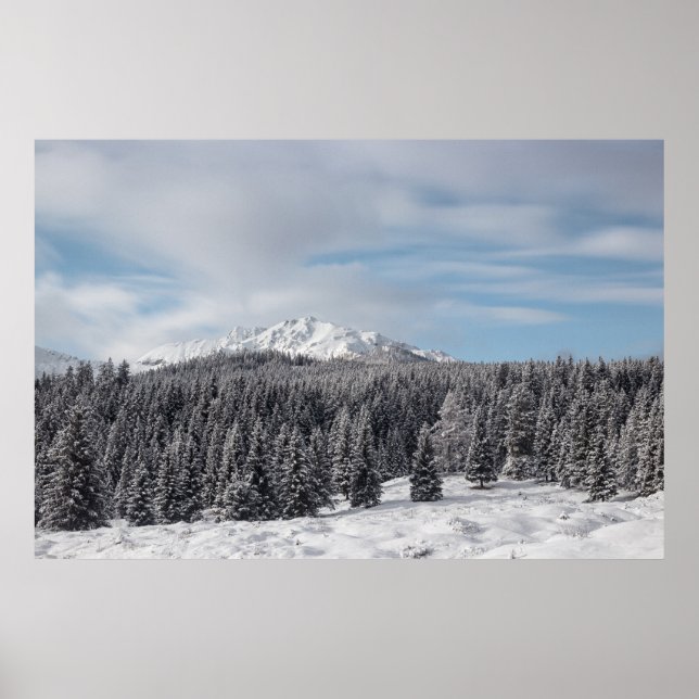 Atemberaubende Winterlandschaft Poster (Vorne)