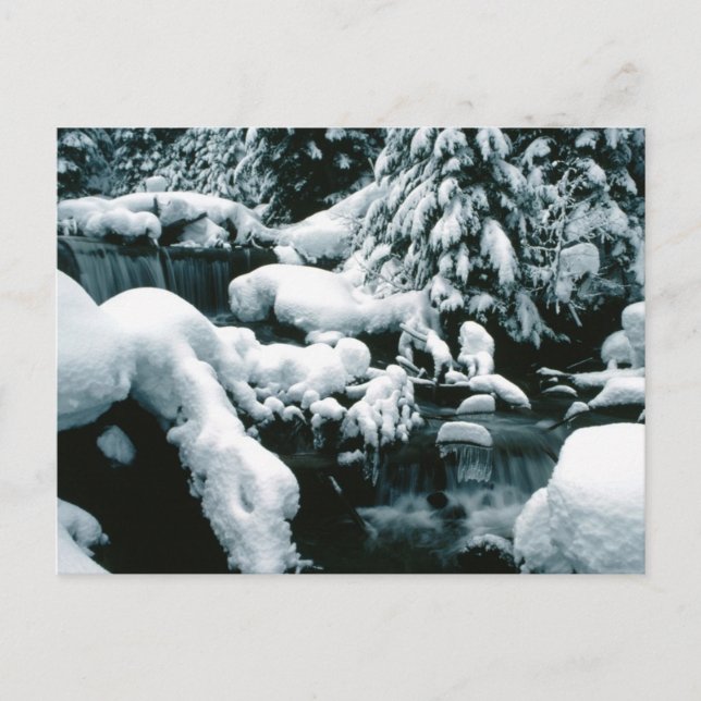 Atemberaubende Winterlandschaft Postkarte (Vorderseite)