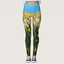 Atemberaubende Zwei-Tonen-Dioden Blumenfotografie