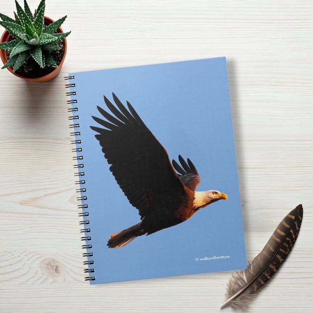 Atemberaubender Adler im Winter Sonnenuntergang Notizblock (Breathtaking Bald Eagle in Winter Sunset Flight Journal Cover Photo)
