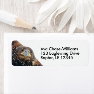 Atemberaubender Adlervogel macht einen Flyby