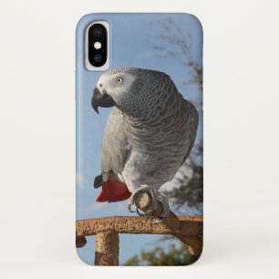 Atemberaubender afrikanisches Grau-Papagei iPhone X Hülle