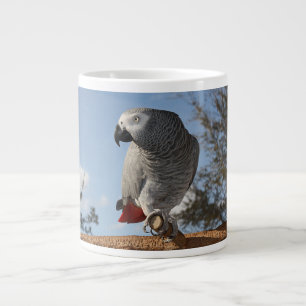 Atemberaubender afrikanisches Grau-Papagei Jumbo-Tasse