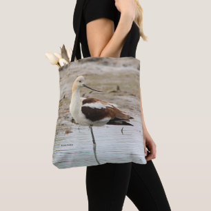 Atemberaubender American Avocet Wading Bird am Str