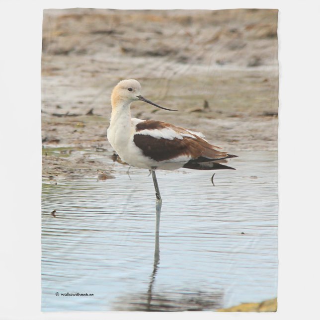 Atemberaubender American Avocet Wading Bird am Str Fleecedecke (Vorderseite)
