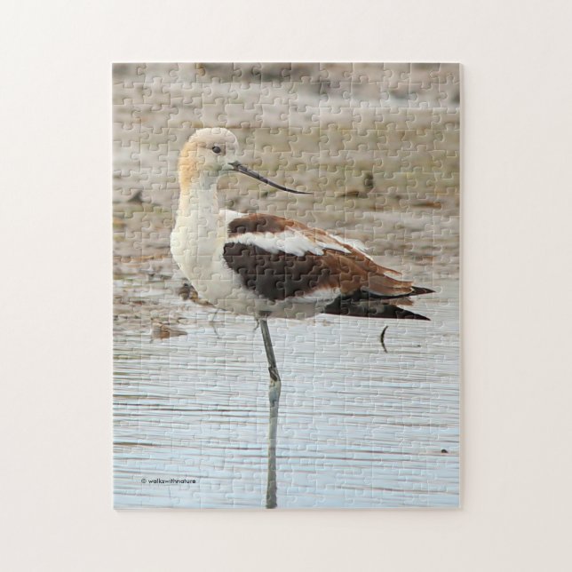 Atemberaubender American Avocet Wading Bird am Str Puzzle (Vertikal)