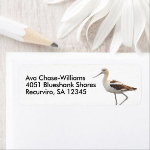 Atemberaubender amerikanischer Avocet-Vogel am Str