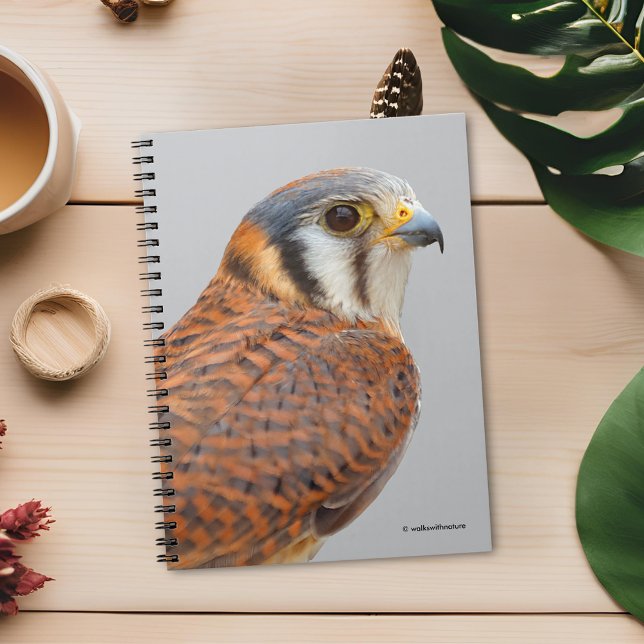 Atemberaubender amerikanischer Kestrel Sparrowhawa Notizblock (Stunning Closeup of an American Kestrel Journal Cover Photo)