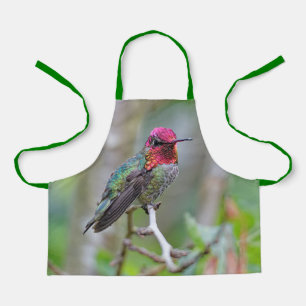 Atemberaubender Anna-Hummingvogel auf dem Pflaumen Schürze