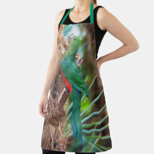 Atemberaubender australischer König Papagei Klette Schürze