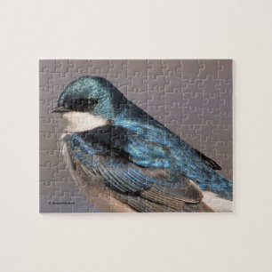 Atemberaubender Baumschlamm Songbird auf dem Wirt Puzzle