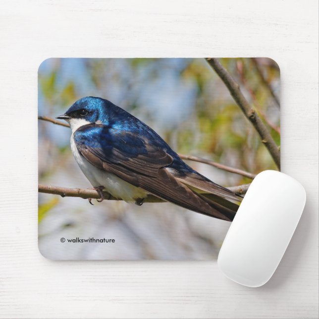 Atemberaubender Baumschlamm Songbird auf einer Abz Mousepad (Mit Mouse)
