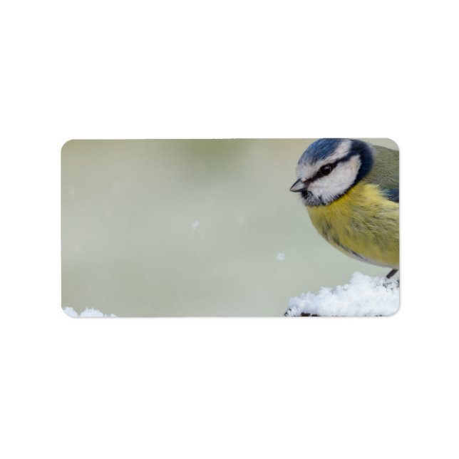 Atemberaubender Blauzungenvogel im Schnee Adressaufkleber (Vorne)