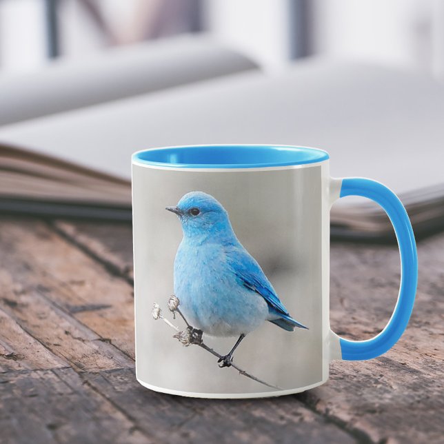 Atemberaubender Bluebird Songbird auf Tansy Tasse (Stunning Mountain Bluebird on Tansy Coffee Mug 5-Star Customer Review.)