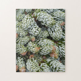 Atemberaubender Closeup-Zwerg koreanischer Feuerwe Puzzle