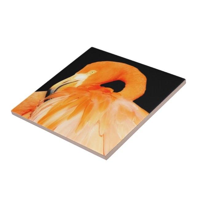 Atemberaubender Flamingo-Bird in der Sommersonne Fliese (Seite)