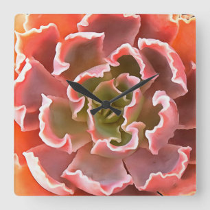 Atemberaubender Garten Sukkuline Rosa Töne Kunst, Quadratische Wanduhr