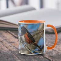 Atemberaubender Gepunkteter Towhey Songbird auf de