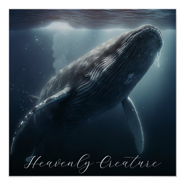 Atemberaubender Humpbackwal Poster (Vorderseite)