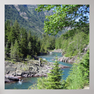 Atemberaubender Nationalwald Poster