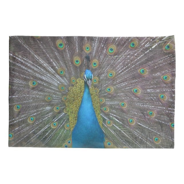 Atemberaubender Pfau Kissenbezug (Rückseite)