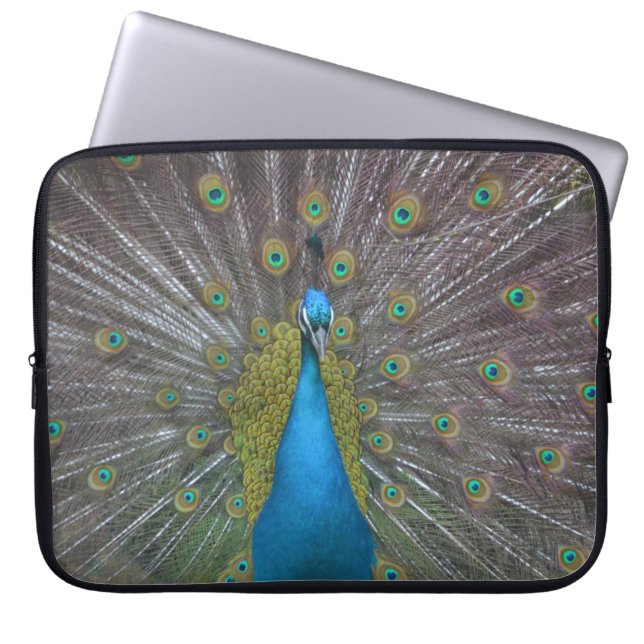 Atemberaubender Pfau Laptopschutzhülle (Vorderseite)