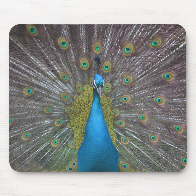 Atemberaubender Pfau Mousepad (Vorne)