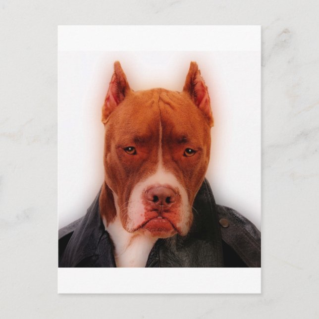 Atemberaubender Pfosten Postkarte (Vorderseite)