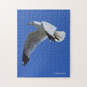 atemberaubender Ring-Billed Gull im Flug Puzzle