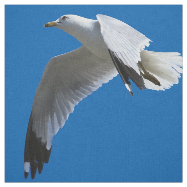 atemberaubender Ring-Billed Gull im Flug Stoff (Muster)