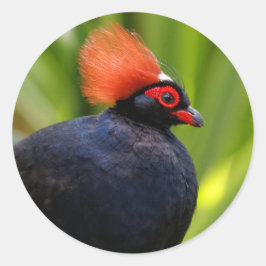 Atemberaubender Rodeldornvogel Runder Aufkleber